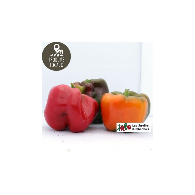 Poivrons couleurs (kg)