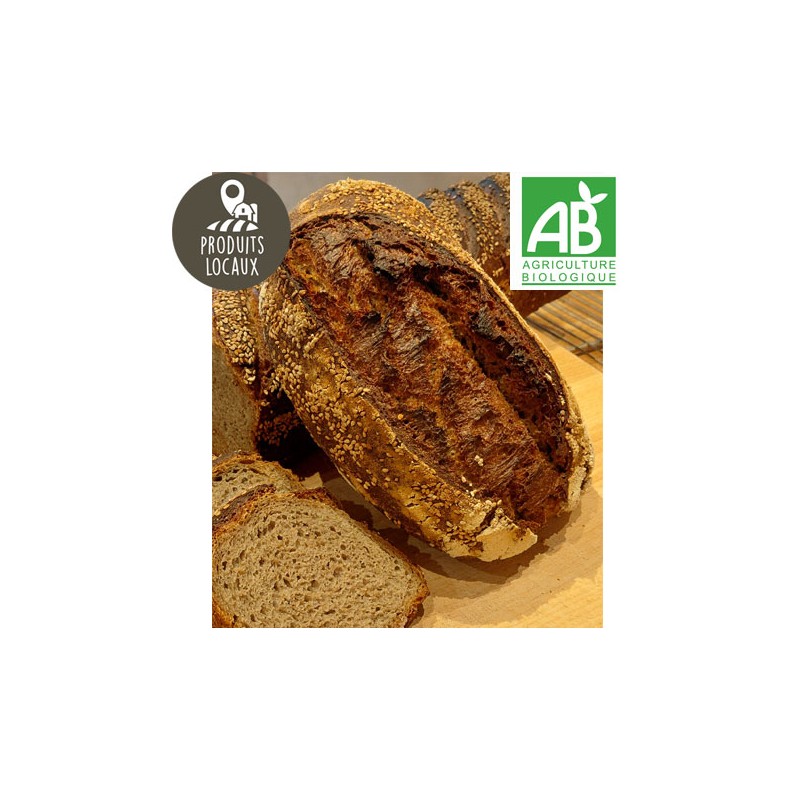 Pain Sésar BIO (500g)
