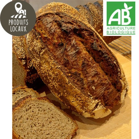 Pain Sésar BIO (500g)