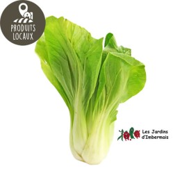 Chou chinois "Packchoï"
