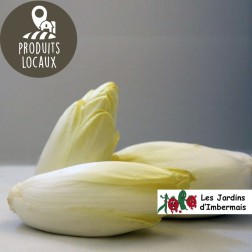 Endives "pleine terre" (kg)