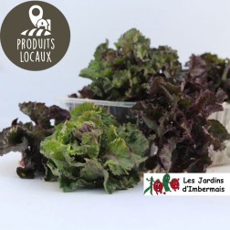 Choux "Flower sprout" (250g)