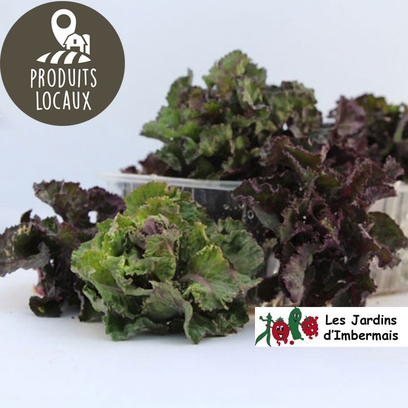 Choux "Flower sprout" (250g)