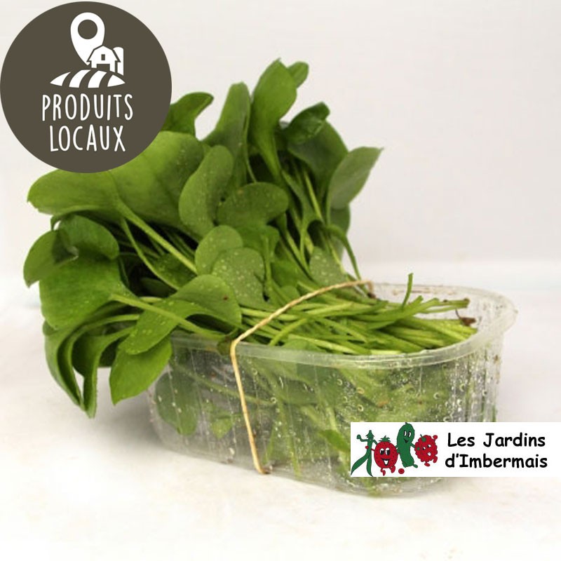 Barquette de pourpier