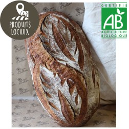 Pain de campagne Miche BIO (3 Kg)
