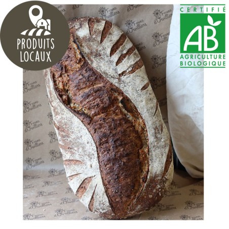 Pain aux graines Miche BIO (3 Kg)