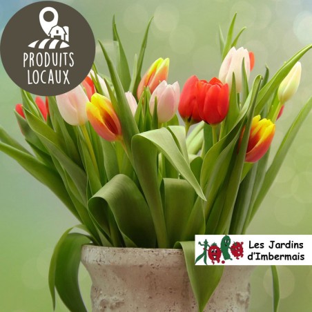 Bouquet printanier de tulipes