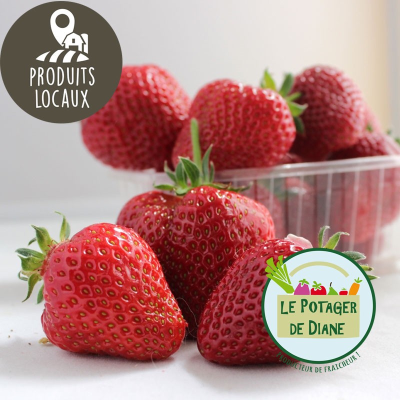 Fraises "Joly" (500g)