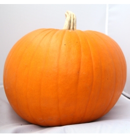 potiron halloween