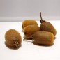 Kiwis BIO (kg)