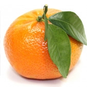 Les fruits & légumes BIO d'ailleurs 